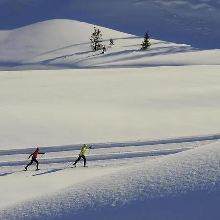 Haus Anna Appartement *